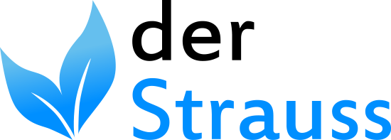 derStrauss Logo